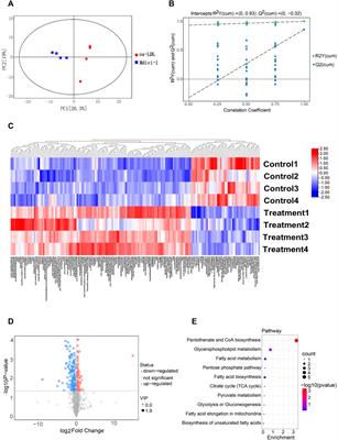 Protective effects of mitochondrial fission inhibition on ox-LDL induced VSMC foaming via metabolic reprogramming